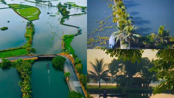 കൊച്ചിയുടെ സ്വന്തം കടമക്കുടി; നാവിൽ രുചിയൂറും ഞണ്ട് കറിയും കള്ളും, ഒന്ന് അർമാദിക്കാൻ വേറെന്ത് വേണം..?
