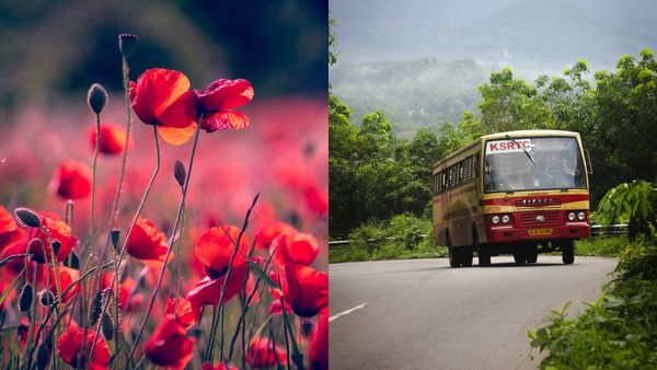 ഫ്ലവർ ഷോ മാത്രമല്ല, വെറും 560 രൂപയ്ക്ക് ഈ സ്ഥലങ്ങളും കാണാം; മലമ്പുഴയിലേക്ക് കെഎസ്ആർടിസിയുടെ അടിപൊളി ട്രിപ്പ്