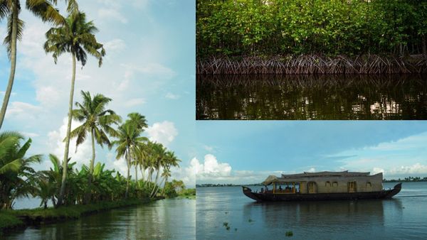 ആലപ്പുഴ-ചങ്ങനാശ്ശേരി റോഡിലൂടെ ഒരു യാത്ര; ഞണ്ടും കക്കയും രുചി പകരും, കുട്ടനാടിന്റെ മറ്റൊരു മുഖം കാണാം...