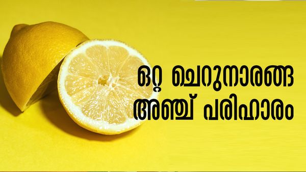 ഒരൊറ്റ കഷ്ണം ചെറുനാരങ്ങ മതി; അടുക്കളയിലെ എല്ലാ പ്രശ്‌നങ്ങള്‍ക്ക് പരിഹാരമാകും