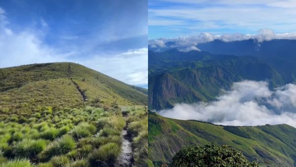 മീശപ്പുലിമലയിൽ മഞ്ഞ് പെയ്യുന്നത് കണ്ടിട്ടുണ്ടോ ? ഇല്ലെങ്കിൽ വാ, ഇതിലും മികച്ച ട്രെക്കിംഗ് സ്വപ്‌നങ്ങളിൽ മാത്രം