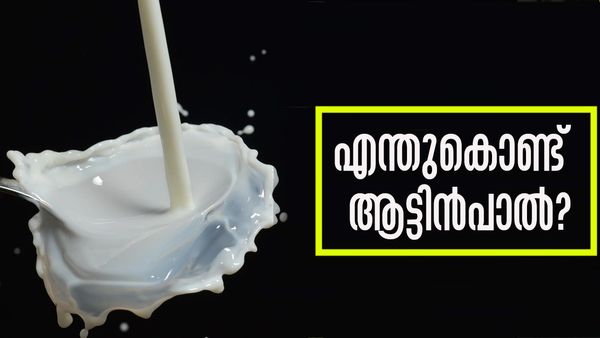 ആട്ടിന്‍പാലിലേക്ക് മാറിയാലോ..? എന്തൊക്കെയാണ് ഗുണങ്ങള്‍ എന്ന് അറിയേണ്ടേ?