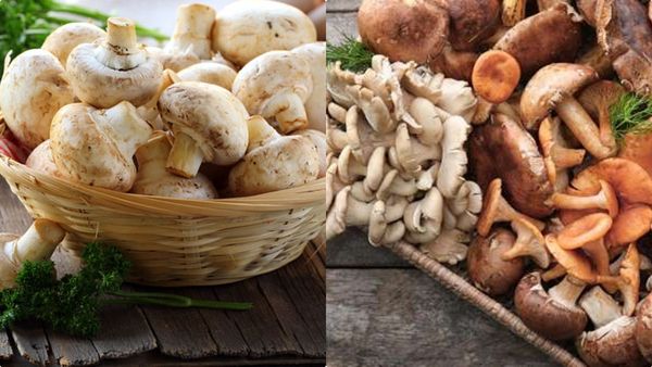 കുടവയറിനൊപ്പം പൊണ്ണത്തടിയുമുണ്ടല്ലോ? 2 കഷ്ണം കൂണ്‍ കൊണ്ട് പരിഹരിക്കാം; കഴിക്കേണ്ടത് ഇങ്ങനെ