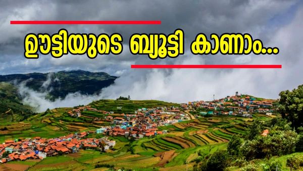 മസിനഗുഡി വഴി ഊട്ടിയിലേക്കൊരു യാത്ര; വല്ലാത്തൊരു എക്‌സ്‌പീരിയൻസ് തന്നെ അത്, മിസ്സാക്കല്ലേ...