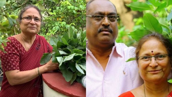 ഒരു ടെറസ്, അവിടെ 1000 ചെടികളും..; ഇത് പദ്‌മയുടെ പച്ചക്കറി തോട്ടം, കണ്ടാൽ നിങ്ങൾ ഞെട്ടും..!