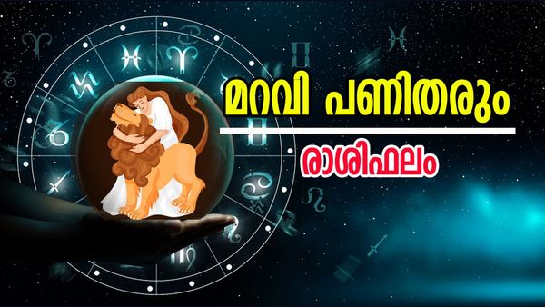 ദൂരയാത്രകൾ പോകേണ്ടി വരും, ദമ്പതികൾ തമ്മിൽ കലഹം, അവിചാരിതമായി ധനലാഭം, രാശിഫലം 