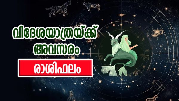 ആ ഒരാൾ നിങ്ങളുടെ ജീവിതത്തിൽ വഴിത്തിരിവ് സൃഷ്ടിക്കും, സാമ്പത്തിക നേട്ടവും ദൂരയാത്രകളും, രാശിഫലം