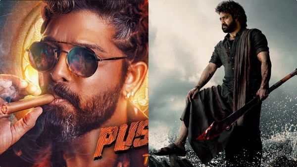 ദേവര, പുഷ്പ 2, സലാര്‍ നെറ്റ്ഫ്‌ളിക്‌സില്‍ കാണാം, ഇപ്പോഴല്ല, ചെലവിട്ട തുക എത്രയെന്നറിയുമോ?