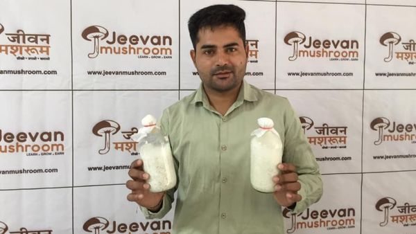 എംബിഎ പാതിവഴിയിൽ നിർത്തി; കൂൺ കൃഷിയിൽ വിപ്ലവം തീർത്തു, ഈ യുവാവിന്റെ മാസ വരുമാനം 13 ലക്ഷം..!