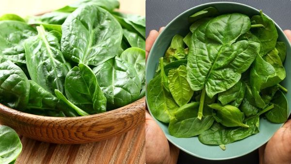 രണ്ട് നുള്ള് ചീരയുണ്ടോ? കുടവയറൊക്കെ പുഷ്പം പോലെ കുറയ്ക്കാം; ഇങ്ങനെ ഒന്ന് കഴിച്ച് നോക്കൂ