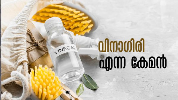 പാചകത്തിന് മാത്രമല്ല, വിനാഗിരി കൊണ്ട് വേറെയുമുണ്ട് ഗുണങ്ങള്‍; ഇത് നിങ്ങള്‍ക്ക് അറിയാമോ?