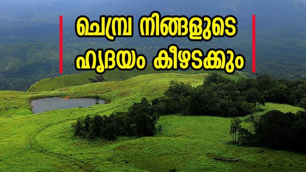 വയനാട്ടിൽ ഒരു ട്രെക്കിംഗ് ആയാലോ? ചെമ്പ്ര കൊടുമുടി കയറാൻ ഉണ്ടേൽ പോര്, ഹൃദയ സരസും കാണാം 