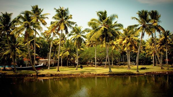 കായൽക്കാഴ്ചകളും മീൻ രുചിയുമായി അകലാപ്പുഴയിൽ തകർക്കാം; കോഴിക്കോടുകാരുടെ സ്വന്തം കുട്ടനാട്