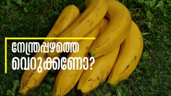 ദിവസവും ഒരു നേന്ത്രപ്പഴം കഴിക്കുന്നത് നല്ലതാണോ, ചീത്തയാണോ? അറിഞ്ഞിരിക്കണം ഇക്കാര്യം