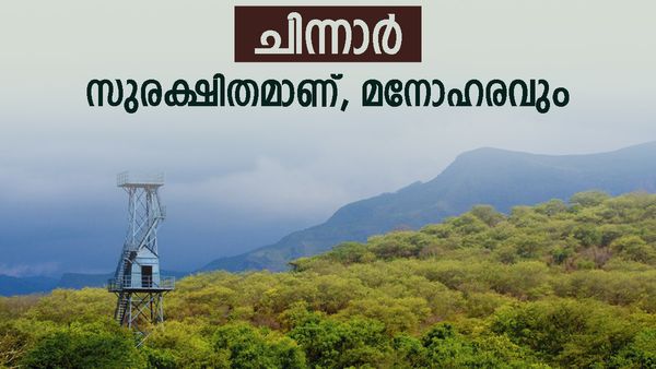 കൊടും കാട്ടിലേക്കൊരു ഉഗ്രൻ ട്രെക്കിംഗ്‌ ആയാലോ? പോകാം ചിന്നാറിലേക്ക്, തൂവാനം വെള്ളച്ചാട്ടവും കാണാം
