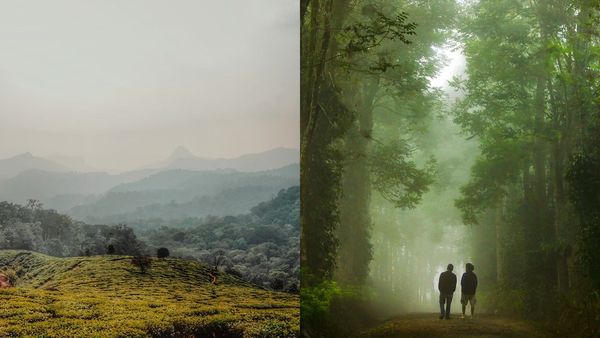 കാവേരിയുടെ സ്വന്തം നിസർഗധാമ, മഞ്ഞ് മൂടിയ മടിക്കേരി; കൂർഗിലെ അതിമനോഹര കാഴ്ചകൾ