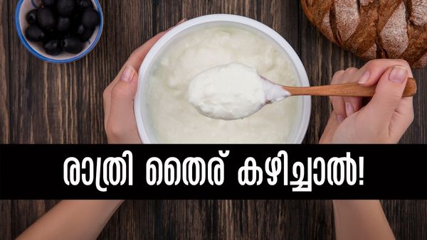 തൈര് കഴിക്കാന്‍ പറ്റിയ ഏറ്റവും ഉചിതമായ സമയം എപ്പോഴാണ്? രാത്രി കഴിച്ചാല്‍ എന്താണ് കുഴപ്പം?
