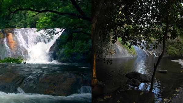പാലക്കാടിന്റെ സ്വന്തം ധോണിയിലേക്ക് ഒരു യാത്ര; ട്രെക്കിംഗ് അനുഭവം ആസ്വദിക്കാം, വല്ലാത്ത വൈബാണത്