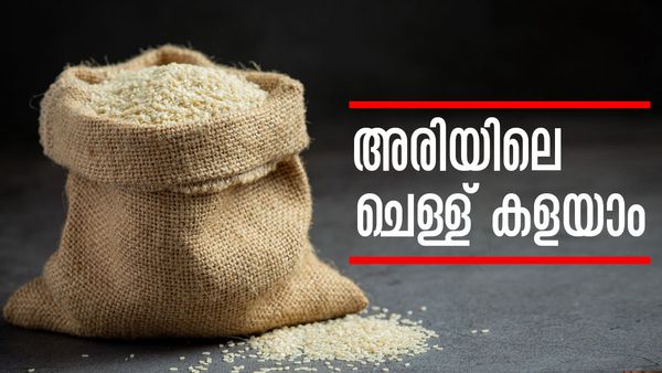 അരിയില്‍ ചെള്ള് നിറയുന്നോ..? തീപ്പെട്ടി മുതല്‍ വെളുത്തുള്ളി വരെ നിങ്ങളെ സഹായിക്കും, എങ്ങനെയെന്നല്ലേ?