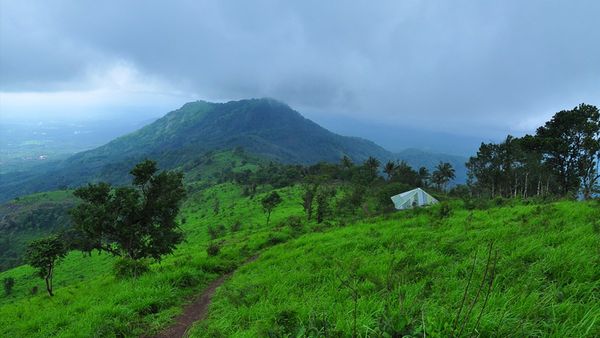 കോട കനിഞ്ഞാൽ മുകളിലെത്താം, കാടും വെളളച്ചാട്ടവും കടന്ന് കൊടികുത്തിമല കയറാം;മലപ്പുറത്തുകാരുടെ ഊട്ടി