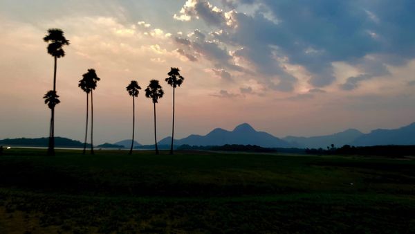 പഴമയുടെ ഭംഗിയും ഗ്രാമീണ കാഴ്ചയും മാത്രമല്ല; പാലക്കാടൻ കാഴ്ചകൾ വേറെ ലെവലാണ്, കയറി പോര്
