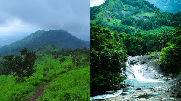 'മിനി ഊട്ടി', തേക്കിൻ തോട്ടങ്ങൾ തിങ്ങി നിറഞ്ഞ നിലമ്പൂർ..മലപ്പുറത്തെ കാഴ്ചകൾ ഇങ്ങനെ, നിർബന്ധമായും പോകാം