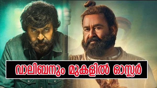 വാലിബനെ വീഴ്ത്തി ഓസ്ലര്‍, മമ്മൂട്ടി ജനുവരിയിലെ താരം; വിജയിച്ചത് ഈ ചിത്രങ്ങള്‍