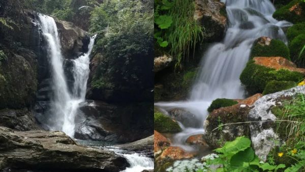 കാനന ചോലയിലെ ഇക്കോ ടൂറിസം; മങ്കയം ഒരുക്കിയ അത്ഭുതങ്ങൾ, കാളക്കയവും കുരിശടിയും കണ്ണിന് കുളിരേകും