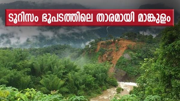 മൂന്നാർ അല്ല ഹേ ഇത് മാങ്കുളം; ഹിൽ സ്‌റ്റേഷനുകളിലെ മാണിക്യം, ആനക്കുളത്ത് ഗജവീരന്മാരുടെ കുളിയും കാണാം 