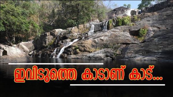 നെയ്യാർ ഡാമിലൂടെ ബോട്ട് സവാരി, ശേഷം മീൻമുട്ടിയിലേക്കൊരു ട്രെക്കിംഗ്; ഇതൊക്കെയാണ് മക്കളെ യാത്ര
