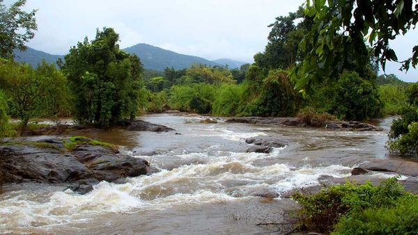 പാണിയേലിപോര് കാണാം, ഒപ്പം കപ്രിക്കാടും; കാൽവരി മൗണ്ടിലേക്കും പോക്കറ്റ് കാലിയാകാതെ പോയി വരാം,ഇതാ പാക്കേജ്