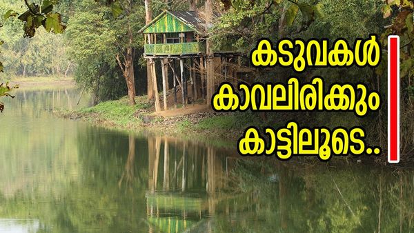 ജംഗിൾ സഫാരി മൂഡിലാണോ? എന്നാൽ വണ്ടി വേഗം പറമ്പിക്കുളത്തേക്ക് വിട്ടോ, ഉഗ്രൻ പാക്കേജുമുണ്ട്