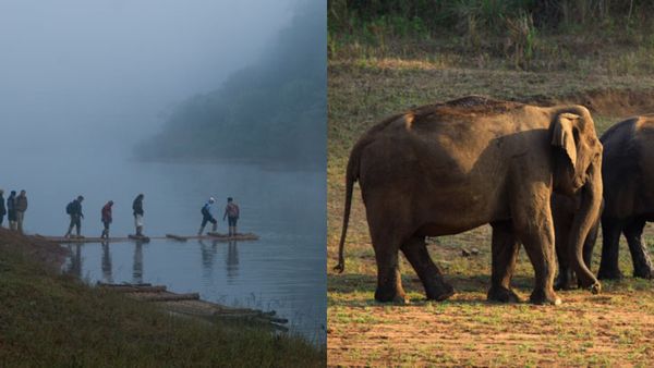ബോട്ടിംഗും ട്രെക്കിംഗും ക്യാമ്പിംഗും; പെരിയാർ പൊളിയാണ്, തേക്കടിയുടെ വന്യതയും ആസ്വദിക്കാം