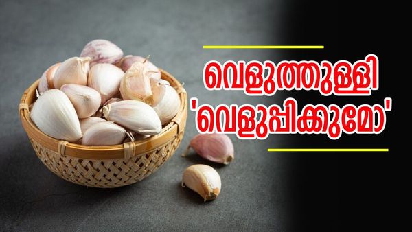 വെളുത്തുള്ളി കുടുംബം വെളുപ്പിക്കുമോ? വില കത്തിക്കയറുന്നു, പല വിഭവങ്ങളിൽ നിന്നും പുറത്ത്..
