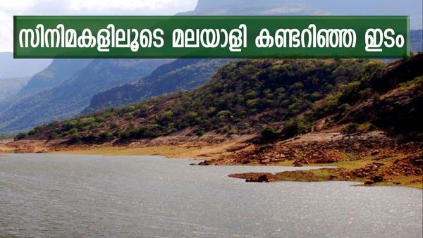 പൊള്ളാച്ചിയിലെ കാഴ്‌ചകൾ അതിമനോഹരം; വാൽപ്പാറ-ചാലക്കുടി റോഡിലൂടെ ഒരു യാത്ര, സ്വർഗം തന്നെ അത്
