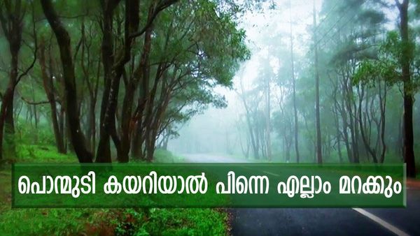 പൊന്മുടി എന്ന മനോഹരി; കോടയും കാടും, കണ്ണിനും മനസിനും കുളിരേകും, ഒരു അടിപൊളി യാത്ര പോവാം