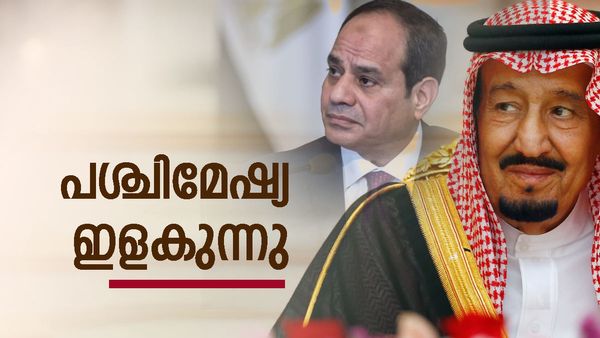 ആദ്യം സൗദി അറേബ്യ; ഇപ്പോള്‍ ഈജിപ്ത്... പശ്ചിമേഷ്യ ഇളകാന്‍ തുടങ്ങി, ഇടപെട്ട് യുഎഇ