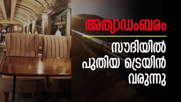 സൗദി അറേബ്യ വേറെ ലെവലാണ്; ആഡംബരത്തിന്റെ അങ്ങേയറ്റം, പുതിയ ട്രെയിന്‍ വിവരം പുറത്ത്