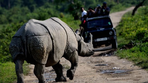 ഗുവാഹത്തി,ഷില്ലോങ്, കാസിരംഗ..അസമും മേഘാലയയും കറങ്ങാം, ഈസി പാക്കേജുമായി ഐആർസിടിസി