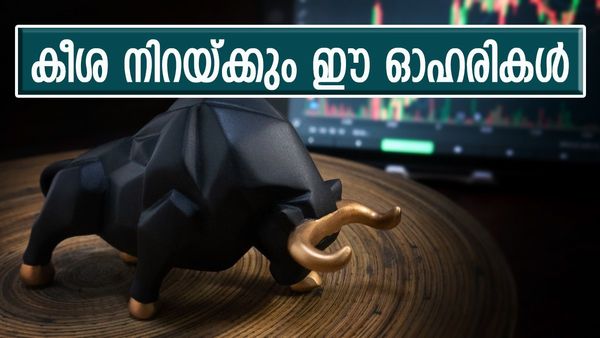 കൈയ്യിൽ കായ് ഉണ്ടോ? പിന്നെന്ത് ടെൻഷൻ; ഈ ഓഹരികൾ റോക്കറ്റ് പോലെ കുതിക്കും, 40 ശതമാനം വളരുമെന്ന് പ്രവചനം
