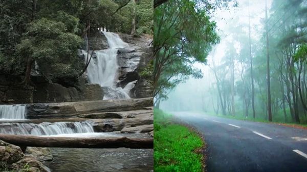 കാടിനുള്ളിലൂടെ കോടയെ വകഞ്ഞ് മാറ്റിയൊരു ഉഗ്രൻ ട്രെക്കിങ്, മുന്നിലെ വെള്ളച്ചാട്ടം; ഈ യാത്ര പൊളിക്കും