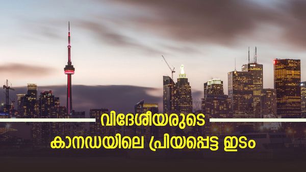 കാനഡ സ്വപ്നം പൂർണ്ണമായും ഉപേക്ഷിക്കല്ലേ? വിദേശീയവരെ വേണ്ടവരുമുണ്ട്, ജോലിക്കും താല്‍പര്യമേറെ