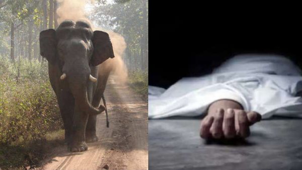 വയനാട്ടിൽ കാട്ടാന ആക്രമണത്തിൽ സ്ത്രീ കൊല്ലപ്പെട്ടു; ഭർത്താവിന് ഗുരുതര പരിക്ക്, സംഭവം നടന്നത് പരപ്പൻപാറയിൽ