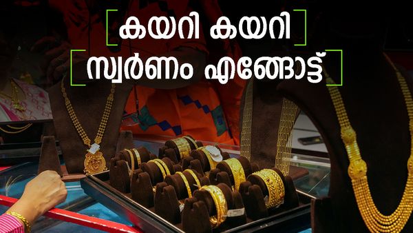 ആകാശം നോക്കി സ്വര്‍ണം; ഇന്നും വില കൂടി... ഒരാഴ്ചയ്ക്കിടെ വര്‍ധിച്ചത് 1900 രൂപ, ഇന്നത്തെ പവന്‍ വില