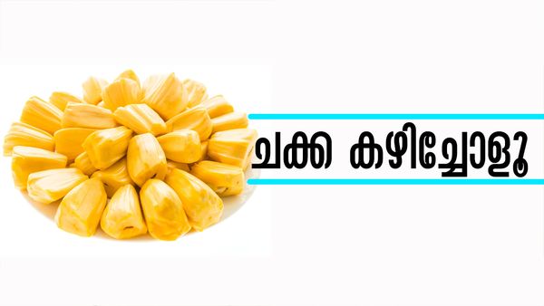 ചക്ക ധൈര്യമായി കഴിച്ചോളൂ, ചര്‍മ്മം വെട്ടിത്തിളങ്ങും; എണ്ണിയാലൊടുങ്ങാത്ത ഗുണങ്ങള്‍ വേറേയും
