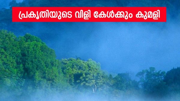മംഗളാദേവി ക്ഷേത്രവും ചെല്ലാർകോവിലും; കുമളിയുടെ കാഴ്‌ചകൾ മനം മയക്കും, നട്ടുച്ചയിലും കൊടും തണുപ്പ്..!