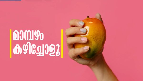 തടി കുറയും, മുടി കൂടും, ചര്‍മ്മം വെട്ടിത്തിളങ്ങും... എത്ര പറഞ്ഞാലും തീരില്ല മാമ്പഴത്തിന്റെ ഗുണങ്ങള്‍