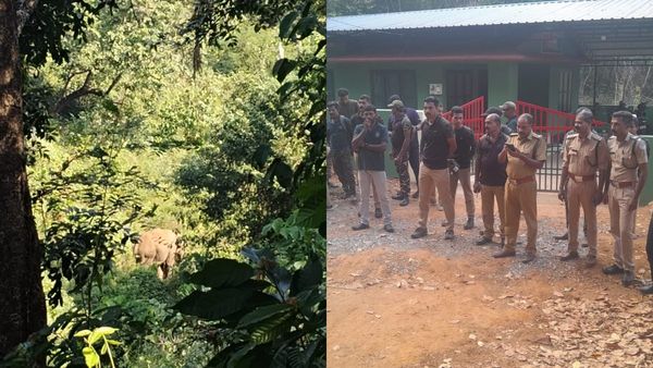 ആറളം ഫാമില്‍ ഓപ്പറേഷന്‍ എലിഫന്റ് പദ്ധതി വീണ്ടും തുടങ്ങി; ജാഗ്രതാ നിര്‍ദ്ദേശവുമായി വനംവകുപ്പ്