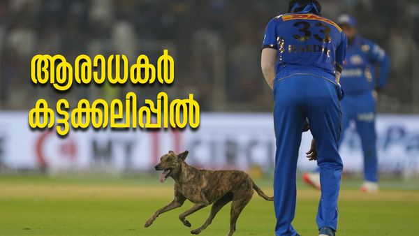 ഗ്രൗണ്ടില്‍ ഓടിയെത്തി നായ.. ഹര്‍ദിക് എന്ന് വിളിച്ച് ആരാധകരുടെ അധിക്ഷേപം; കലിപ്പ് തീരാതെ ആരാധകര്‍