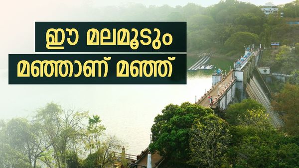 മൂടൽമലയെ ഒളിപ്പിച്ചുവച്ച പീച്ചി-വാഴാനി കാടുകൾ; ഇത് ട്രെക്കിംഗ് മോഹികളുടെ പറുദീസ, ഒന്ന് പോയാലോ?